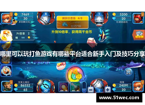 哪里可以玩打鱼游戏有哪些平台适合新手入门及技巧分享